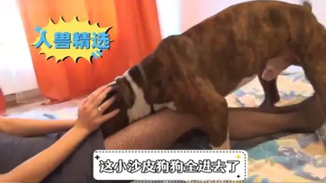 美女剛下班回家就被狗狗按到摩擦-變態