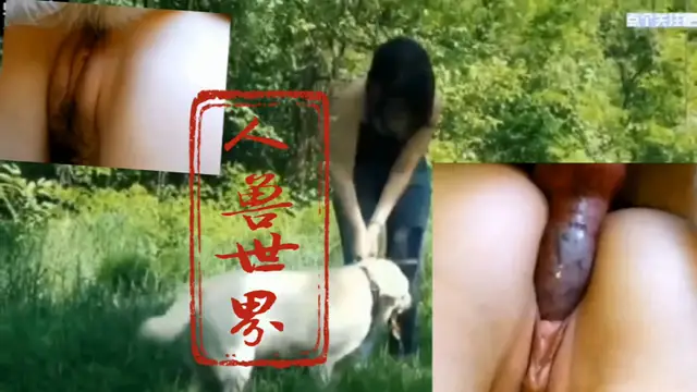 （人與獸系列）少婦遛狗散步，騷穴癢了就讓狗爆操騷逼-變態